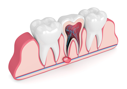 Orthodontist in satellite  